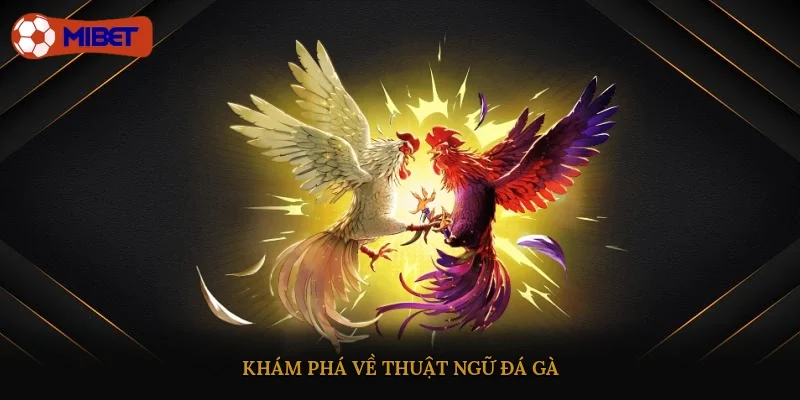 Khám phá về thuật ngữ đá gà