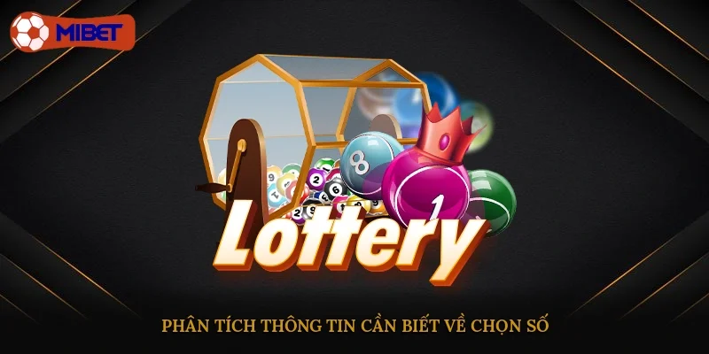 Phân tích thông tin cần biết về chọn số
