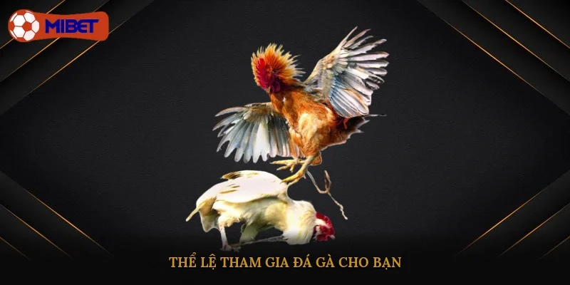 Thể lệ tham gia đá gà cho bạn