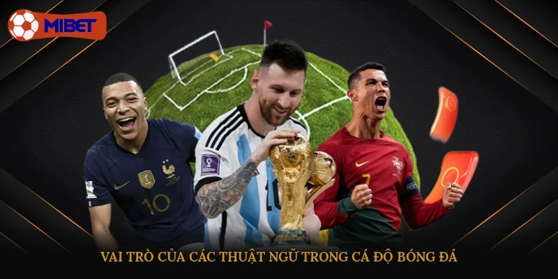 Vai trò của các thuật ngữ trong cá độ bóng đá